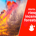 ES-Alert-test op Gran Canaria: grote bosbrandoefening in Moya op 29 april